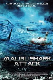 Malibu Shark Attack