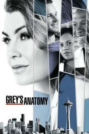 Grey’s Anatomy